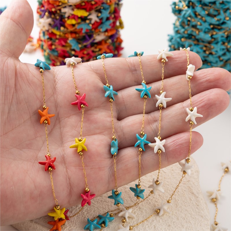1Meter Rvs Zeester Turquoise K - Pearl Trim Chain recensie en prijs