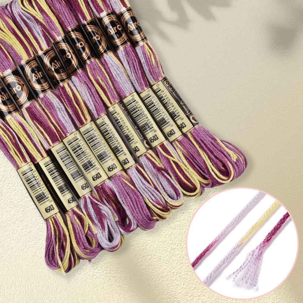 6-strengen paars bonte borduur - Embroidery Embellishments recensie en prijs